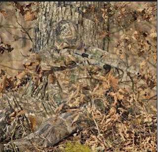 फिल्डक्राफ्ट और उसके फायदे